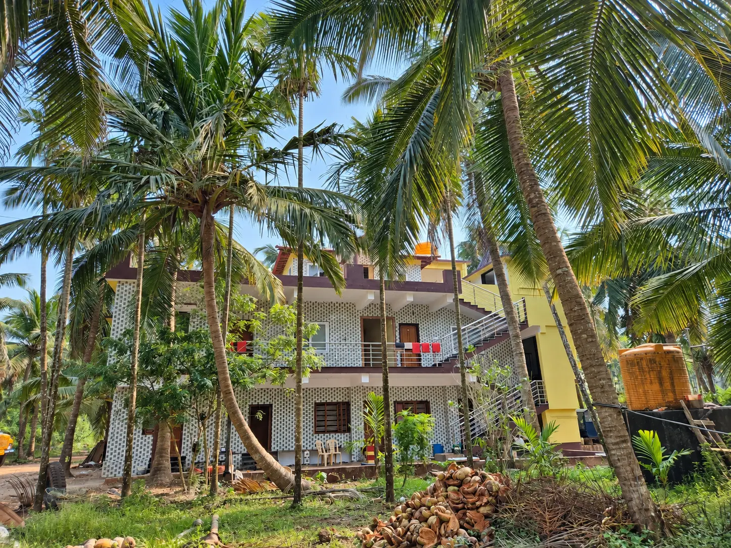 The homestay building framed by coconut palms
